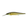 GILL