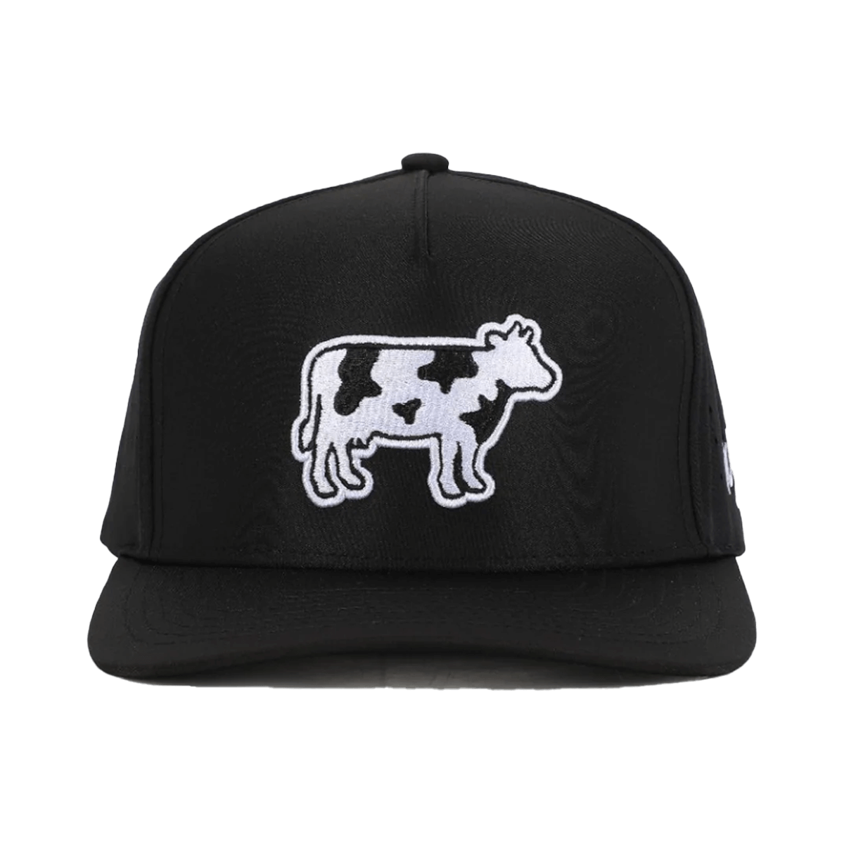WAGGLE LEGENDAIRY HAT -FRONT VIEW