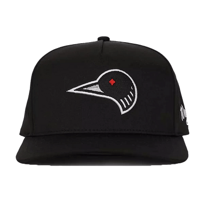 WAGGLE LOON LAKE 2.0 HAT - FRONT VIEW