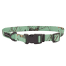 CNTRY RTS EQNX