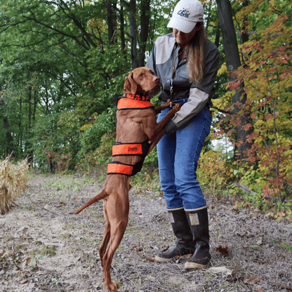WATER & WOODS DOG CHEST PROTECTOR - ORANGE_1