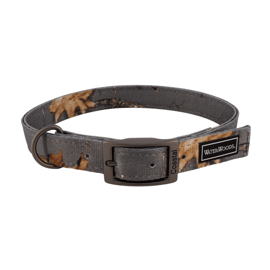 WATER & WOODS DOUBLE-PLY PATTERNED HOUND DOG COLLAR - COUNTRY ROOTS EVERGREEN 