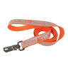 WW ORANGE