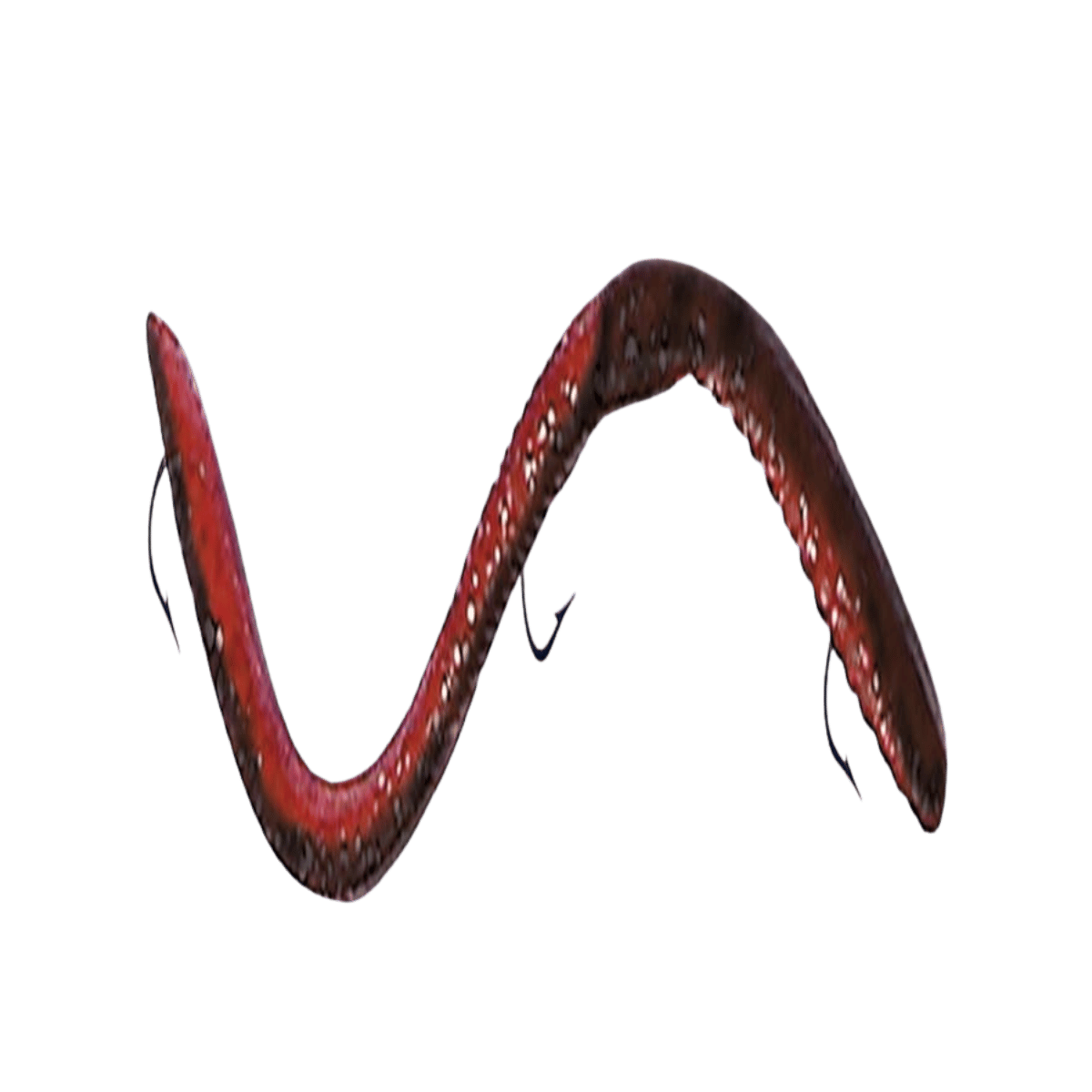 IKE-CON BIG 8IGHT WEEDLESS WORM - 8IN - RED SHAD