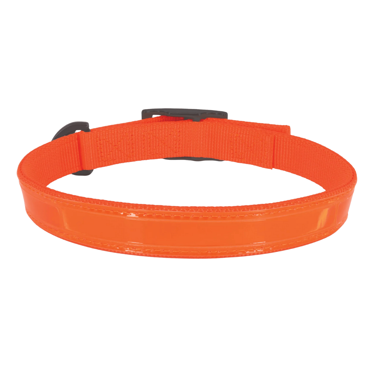 WATER & WOOODS DOUBLE-PLY REFLECTIVE COLLAR - SAFETY ORANGE