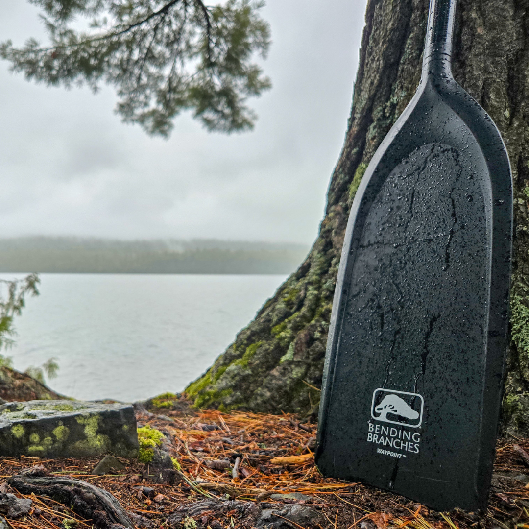 Bending Branches Waypoint Canoe Paddle
