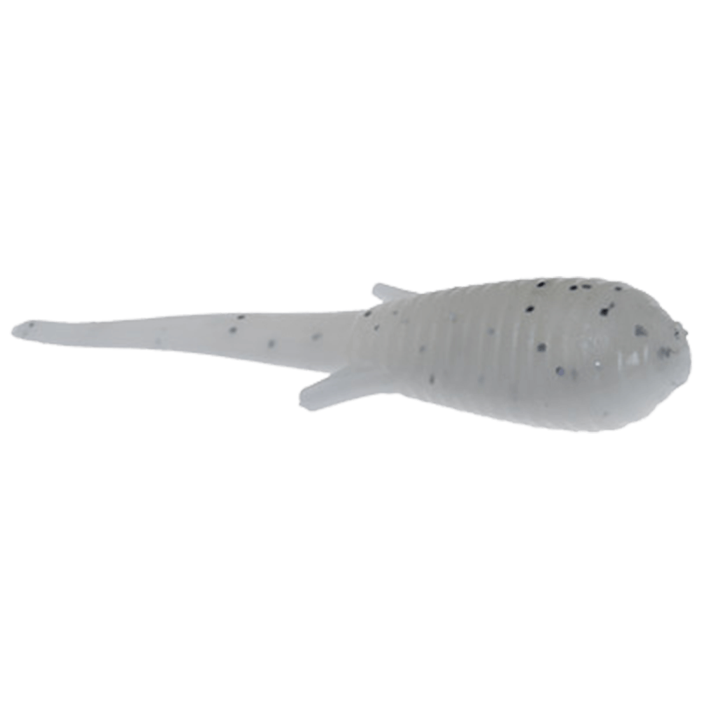 CLAM SOLDIER FLY
White Glow