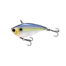 SSH-SEXY SHAD