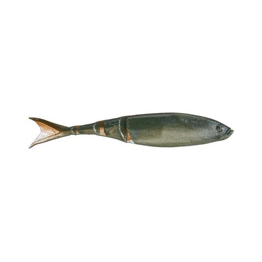 Z MAN FISHING ELAZTECH RAZOR SHADZ SEGMNT AYU