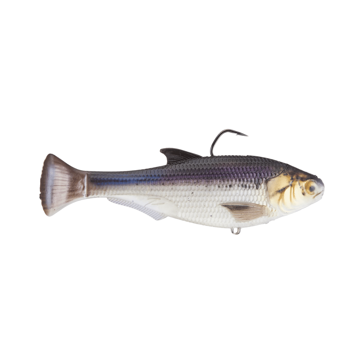 Z-MAN FISHING SHADTRON LT FAST SINK SWIMBAIT GIZZARD SHAD