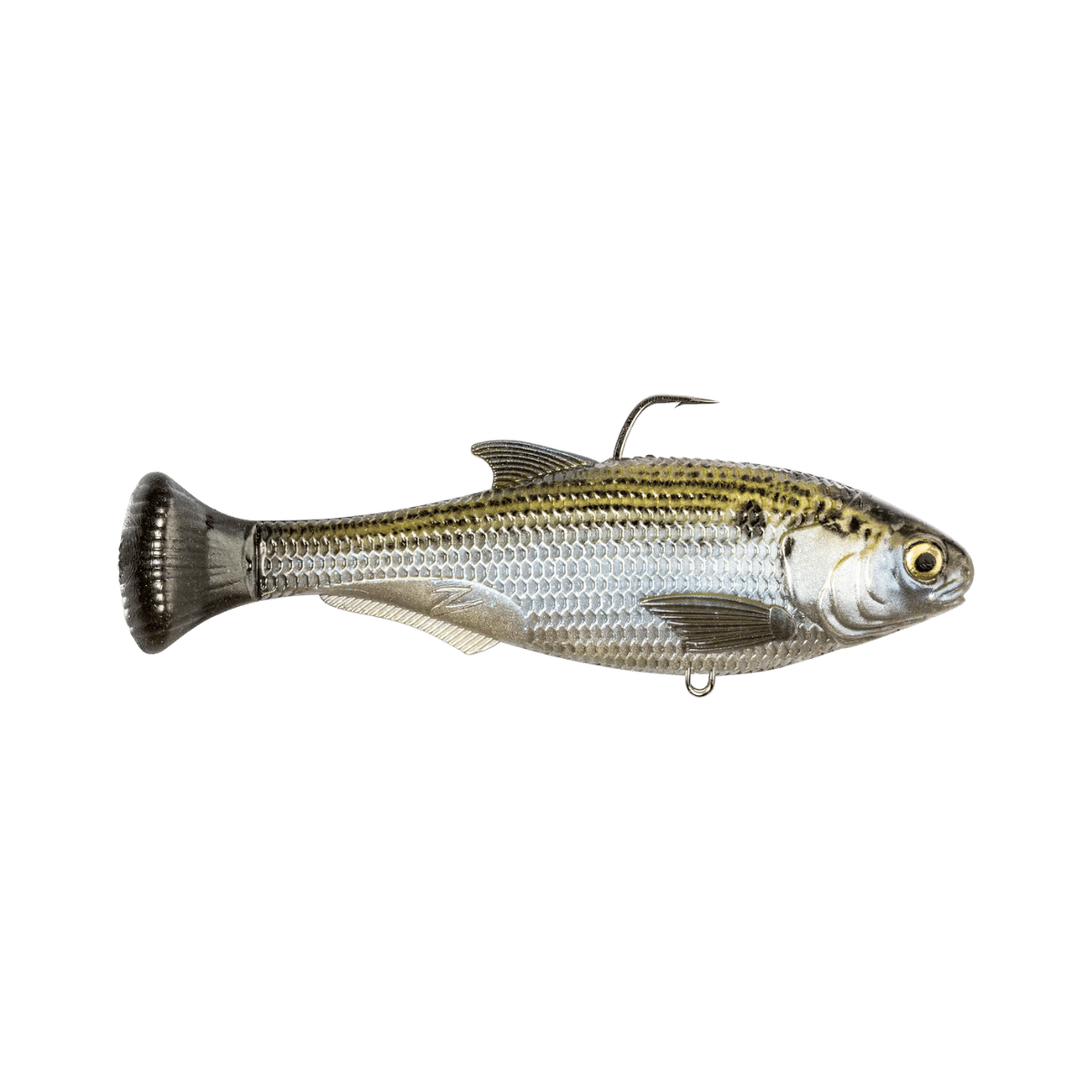 Z-MAN FISHING SHADTRON LT FAST SINK SWIMBAIT MOSHBACK