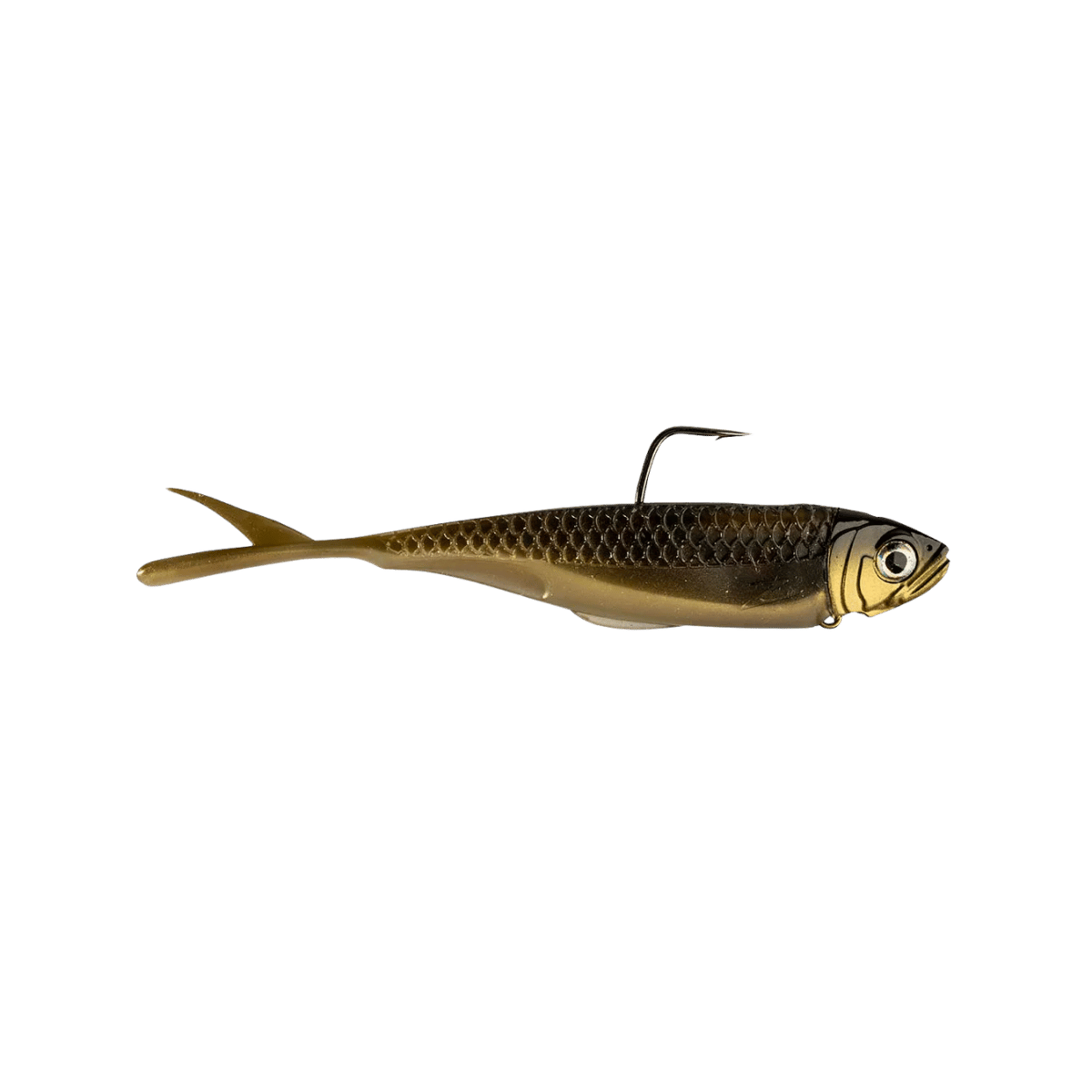 Z-MANFISHI GRAPH SHADZ AYU