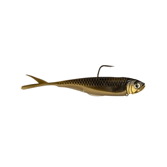 Z-MANFISHI GRAPH SHADZ AYU