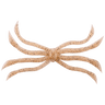 WAKASAGI SHRIMP