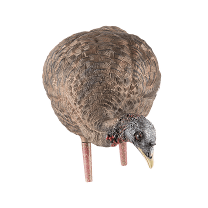 LCD FEEDER HEN TURKEY DECOY front view