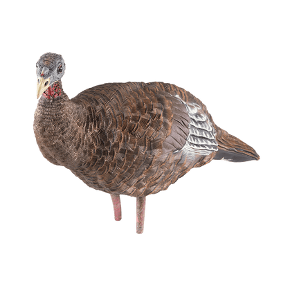 LCD BREEDER HEN TURKEY DECOY side view