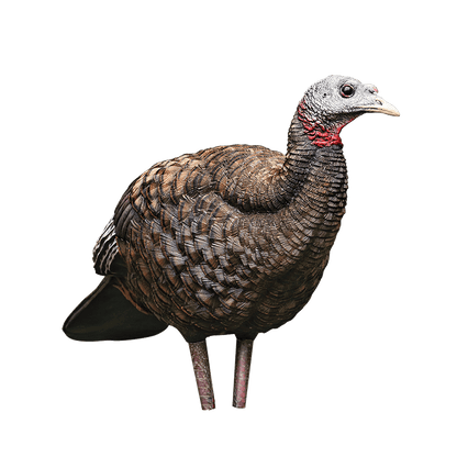 LCD BREEDER HEN TURKEY DECOY