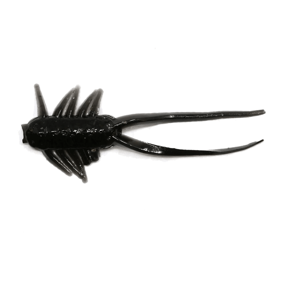 CLAM JAMEI XL
Fathead