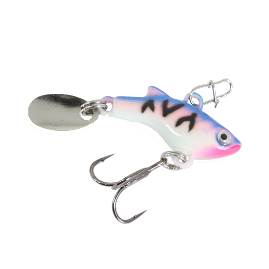 Clam Tikka Flash - Rainbow Tiger Glow