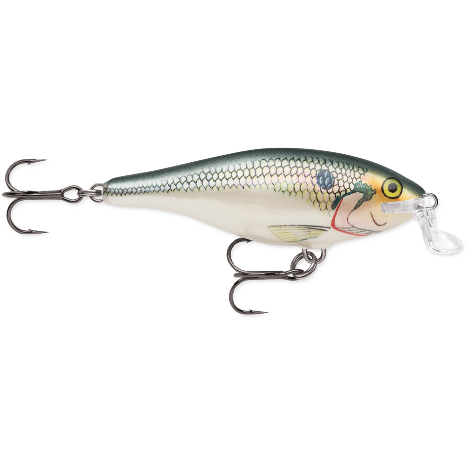 Rapala SHALLOW SHAD RAP - Shad