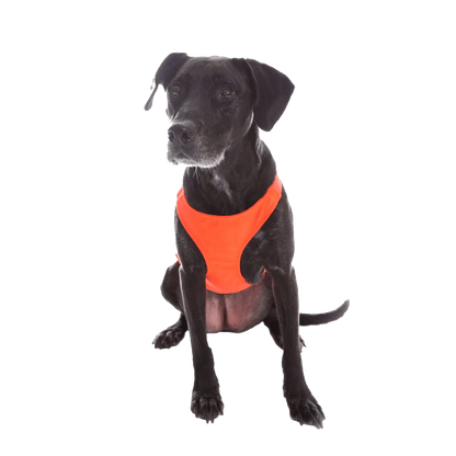 MENDOTA PET SKID PLATE - NARROW CHEST (SM, MD, LG) on dog front view