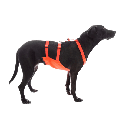 MENDOTA PET SKID PLATE - NARROW CHEST (SM, MD, LG) on dog