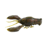 GRASS CRAW